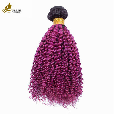 Afro Kinky Curly Dark Root Purple Ombre Virgin Human Hair Bundles te koop
