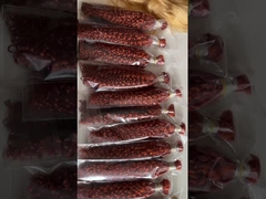 Braziliaans maagdelijk menselijk haar