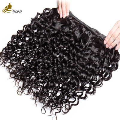 Water Wave Mensenhaar Indina Virgin Wet en Wavy Curly Bundles