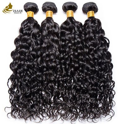 Water Wave Mensenhaar Indina Virgin Wet en Wavy Curly Bundles
