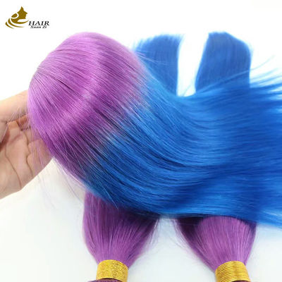 Op maat gemaakt Ombre Human Hair Extensions Bouncy Purple Blauw Kleur