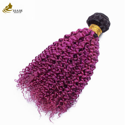 Afro Kinky Curly Dark Root Purple Ombre Virgin Human Hair Bundles te koop
