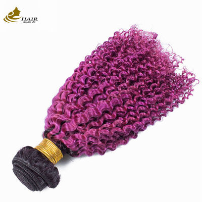 Afro Kinky Curly Dark Root Purple Ombre Virgin Human Hair Bundles te koop