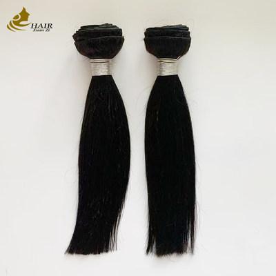 10 inch Maagdelijk Menselijk Haar Natuurlijk Zwart Steil Haar Bundels Met 10 inch HD 2*6 Haar Sluiting
